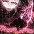 hivari, toukka