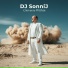 DJ SonniJ