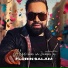 Florin Salam