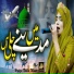 Hafiza Nadia Munir