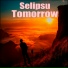 Selipsu