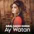 Amal Saeed Kurda