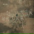 杨大勇