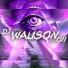 DJ WALISON 011
