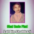 Lal Din Shahbazi