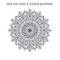 Chakra Cleansing Music Sanctuary