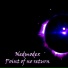 Nedmodex