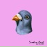 Still Pigeon