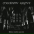 Meadow Grove