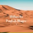 Paytah Mayer