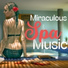 Hawaiian Spa Music Relaxation, Lena Nauki