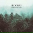 RIVVRS