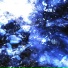 NIGHT SNOW