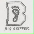 Big Stepper