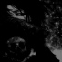 singleplayer