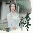 陈晓竹