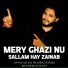Shahbaz Haider
