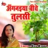 Nilu Mishra