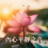 紅蓮花, 冥想俱樂部