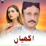 Gul Tari Khailvi
