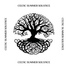 Celtic Chillout Relaxation Academy