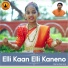 Jnana Gururaj, Vijay Krishna D