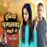 Rangila Rahul