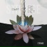 Flok 8