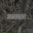 veter