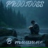 PROOTOOSS