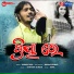 kumar bapi