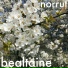 Norrut