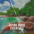 Trap Bass, BASSTION, BASS HOUSE