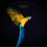 Calming Bird Background Sounds