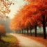 rainflowers