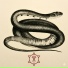 avel