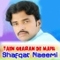 Shafqat Naeemi