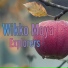 Wikko Moya