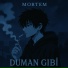 mortem