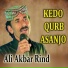 Ali Akbar Rind