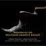 Collegium Vocale Seoul, Collegium Musicum Seoul