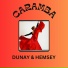 Dunay & Hemsey