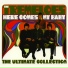 The Tremeloes 1967