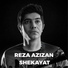 Reza Azizan