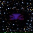 RÍRYLEY DON