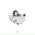 bear bear & friends, Gill Chang