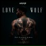 Seyed feat. Kollegah, Asche