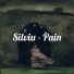 Silviu