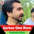 Comrade Afnan
