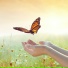 Koffee Kid